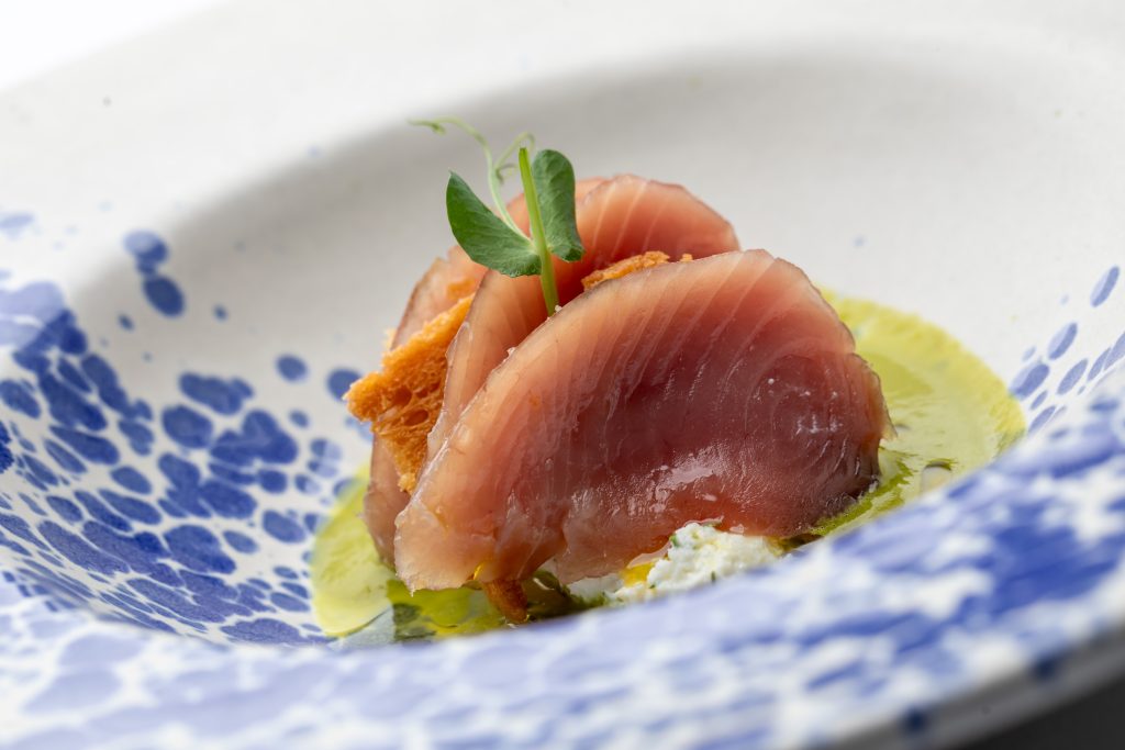 Cabernet Sauvignon & Plava riba, s ljubavlju 2025